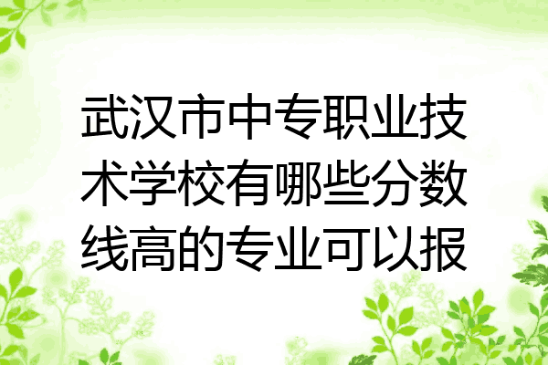 武汉市中专职业技术学校有哪些分数线高的专业可以报