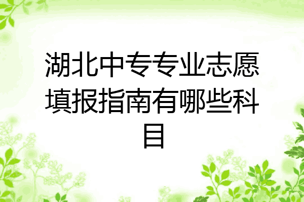 湖北中专专业志愿填报指南有哪些科目