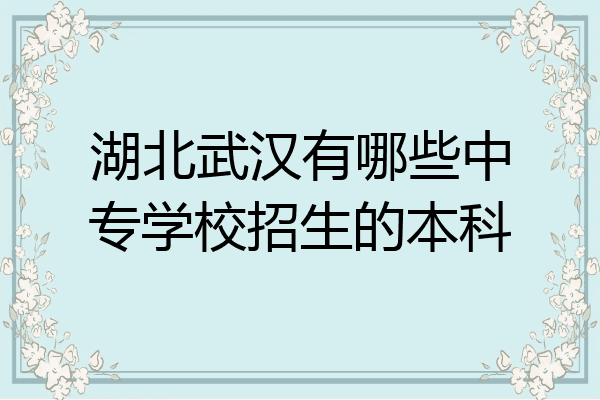 湖北武汉有哪些中专学校招生的本科