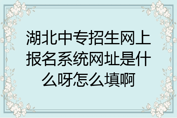 湖北中专招生网上报名系统网址是什么呀怎么填啊