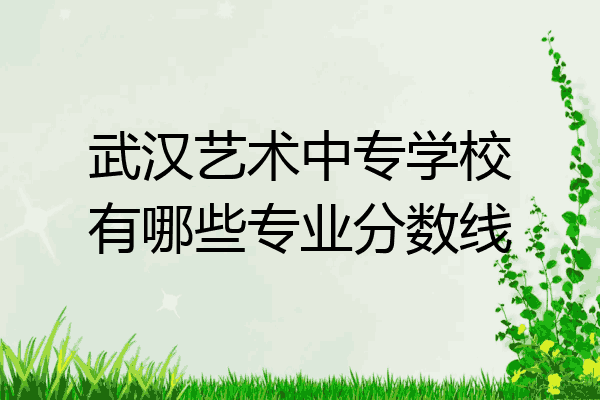 武汉艺术中专学校有哪些专业分数线