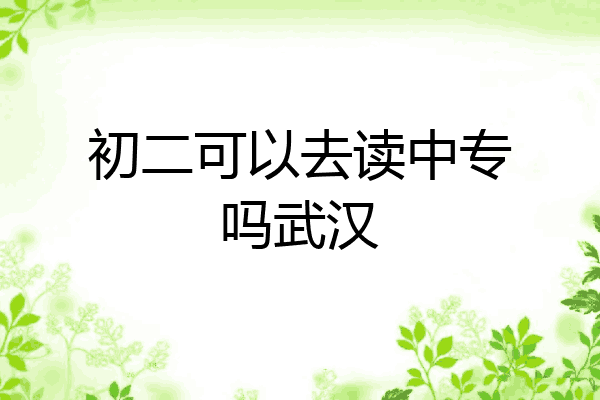 初二可以去读中专吗武汉