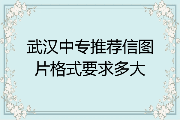武汉中专推荐信图片格式要求多大