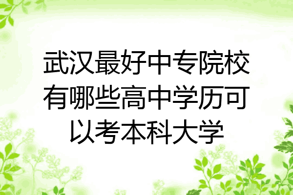 武汉最好中专院校有哪些高中学历可以考本科大学