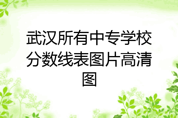 武汉所有中专学校分数线表图片高清图