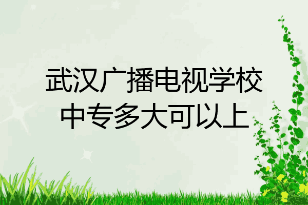 武汉广播电视学校中专多大可以上