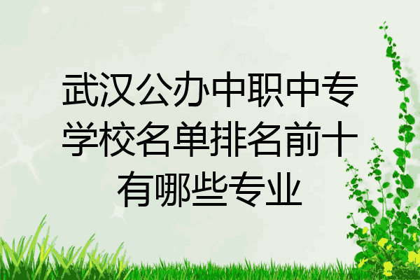 武汉公办中职中专学校名单排名前十有哪些专业