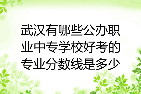 武汉有哪些公办职业中专学校好考的专业分数线是多少
