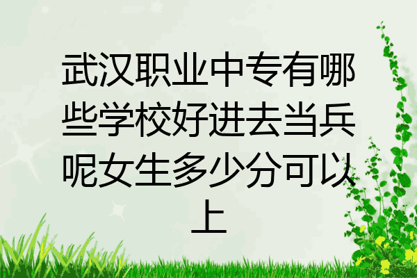 武汉职业中专有哪些学校好进去当兵呢女生多少分可以上