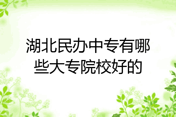湖北民办中专有哪些大专院校好的