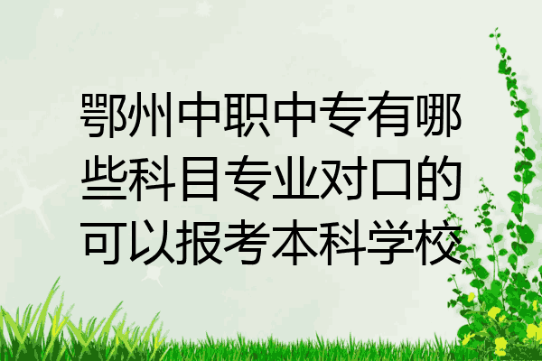 鄂州中职中专有哪些科目专业对口的可以报考本科学校