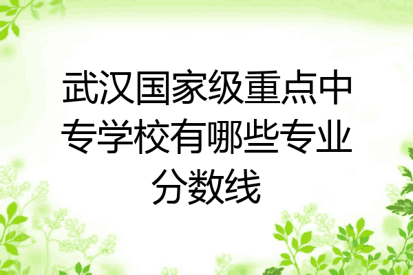 武汉国家级重点中专学校有哪些专业分数线