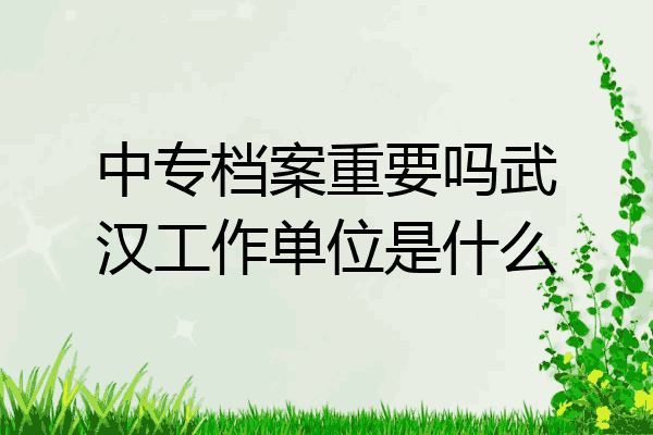 中专档案重要吗武汉工作单位是什么