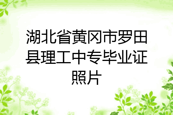 湖北省黄冈市罗田县理工中专毕业证照片