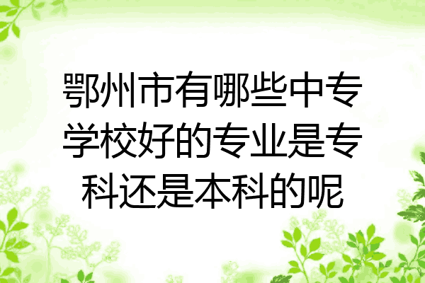 鄂州市有哪些中专学校好的专业是专科还是本科的呢