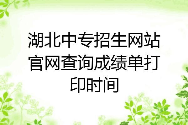 湖北中专招生网站官网查询成绩单打印时间