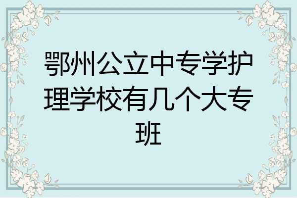 鄂州公立中专学护理学校有几个大专班