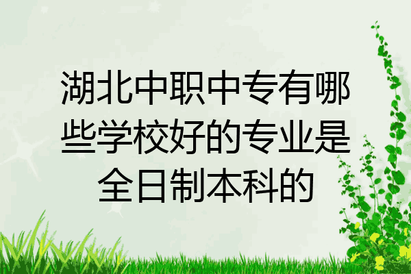 湖北中职中专有哪些学校好的专业是全日制本科的
