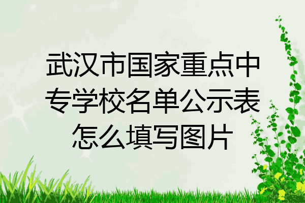 武汉市国家重点中专学校名单公示表怎么填写图片