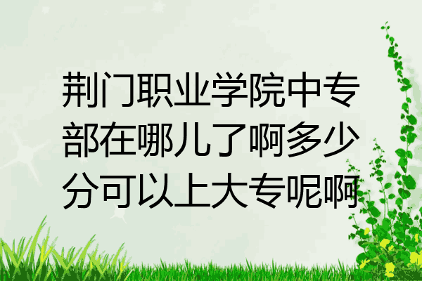 荆门职业学院中专部在哪儿了啊多少分可以上大专呢啊