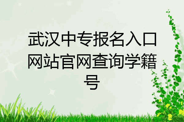 武汉中专报名入口网站官网查询学籍号