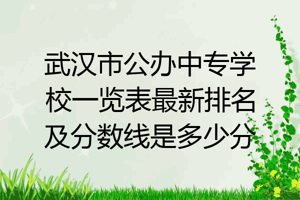 武汉市公办中专学校一览表最新排名及分数线是多少分