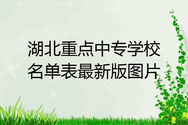 湖北重点中专学校名单表最新版图片