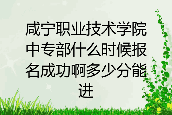 咸宁职业技术学院中专部什么时候报名成功啊多少分能进