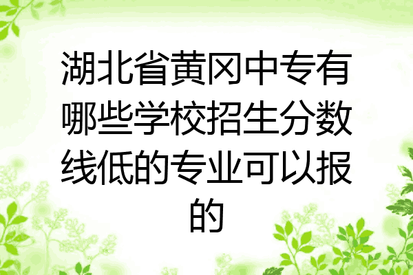 湖北省黄冈中专有哪些学校招生分数线低的专业可以报的