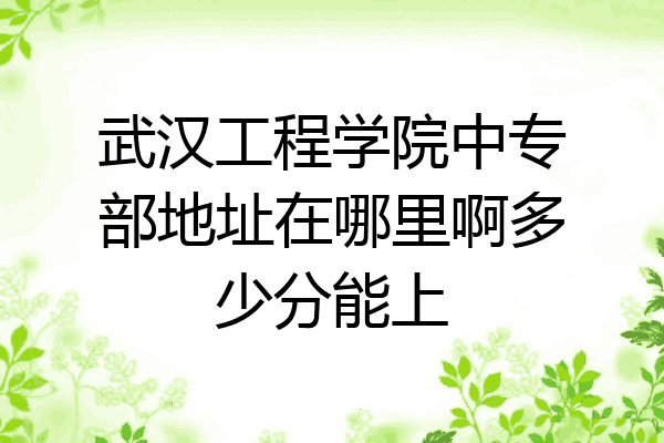 武汉工程学院中专部地址在哪里啊多少分能上