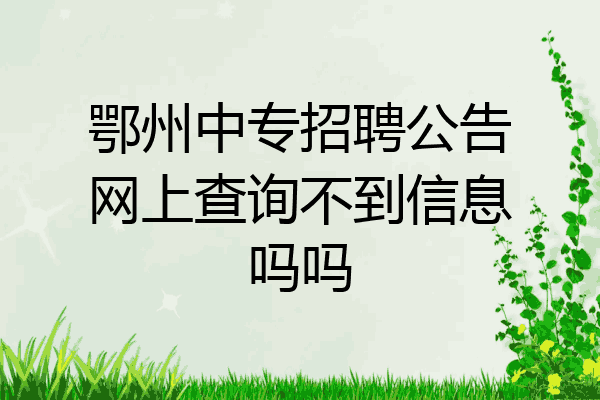 鄂州中专招聘公告网上查询不到信息吗吗
