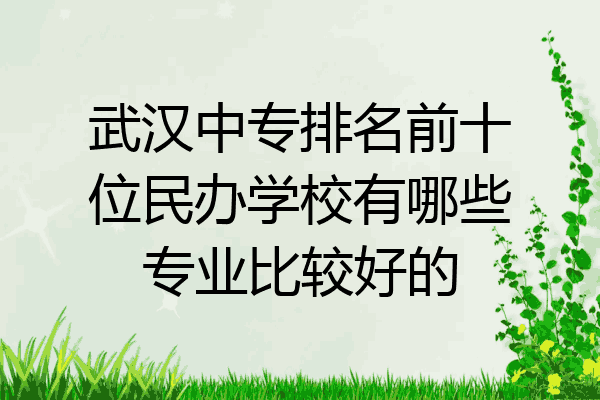 武汉中专排名前十位民办学校有哪些专业比较好的