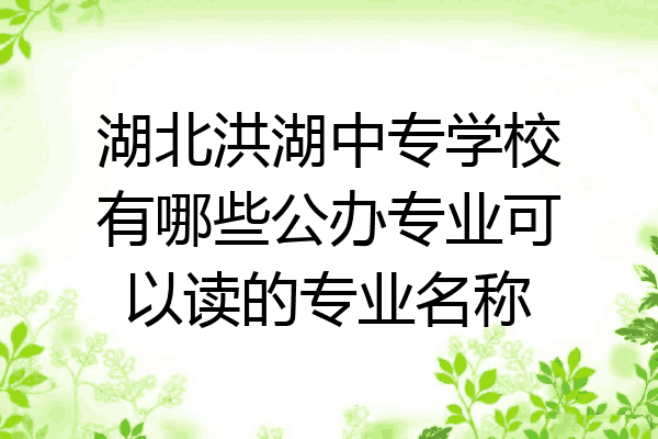 湖北洪湖中专学校有哪些公办专业可以读的专业名称