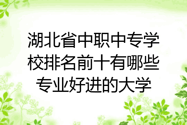 湖北省中职中专学校排名前十有哪些专业好进的大学