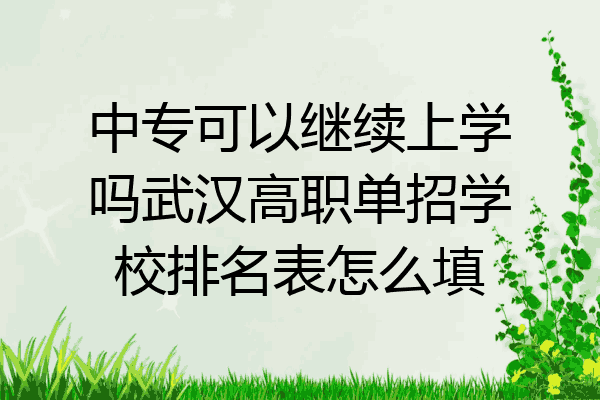 中专可以继续上学吗武汉高职单招学校排名表怎么填