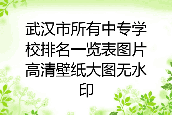 武汉市所有中专学校排名一览表图片高清壁纸大图无水印