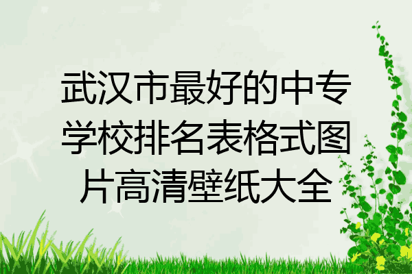 武汉市最好的中专学校排名表格式图片高清壁纸大全