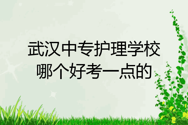武汉中专护理学校哪个好考一点的