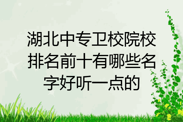 湖北中专卫校院校排名前十有哪些名字好听一点的