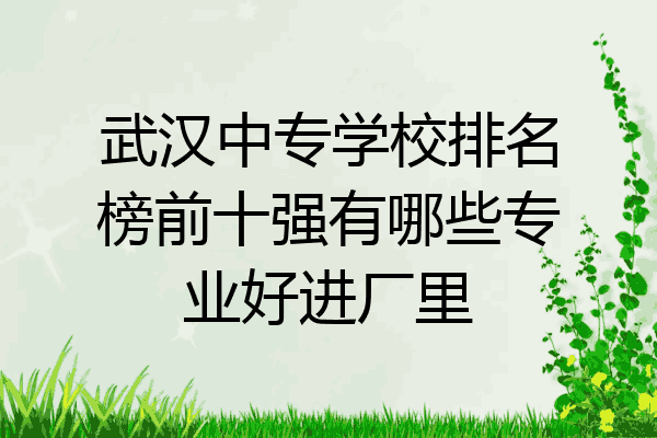 武汉中专学校排名榜前十强有哪些专业好进厂里