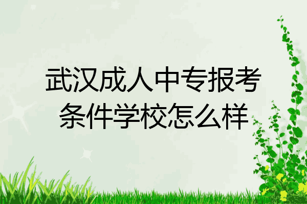 武汉成人中专报考条件学校怎么样