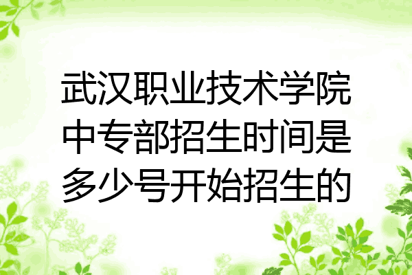 武汉职业技术学院中专部招生时间是多少号开始招生的
