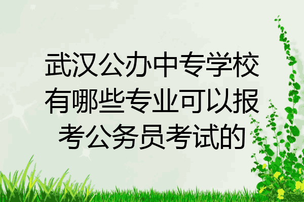 武汉公办中专学校有哪些专业可以报考公务员考试的