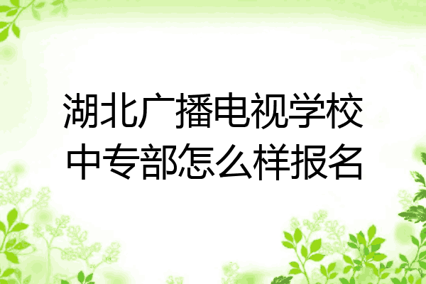 湖北广播电视学校中专部怎么样报名