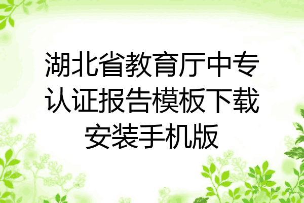 湖北省教育厅中专认证报告模板下载安装手机版