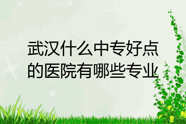 武汉什么中专好点的医院有哪些专业