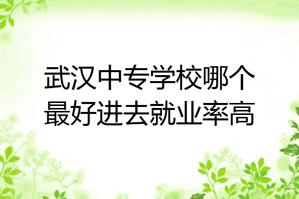 武汉中专学校哪个最好进去就业率高