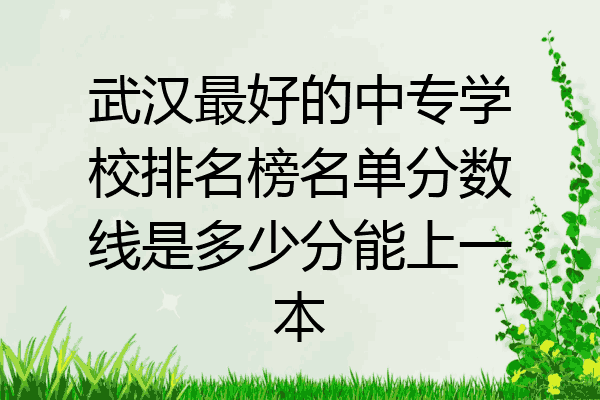 武汉最好的中专学校排名榜名单分数线是多少分能上一本