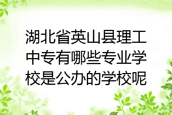 湖北省英山县理工中专有哪些专业学校是公办的学校呢