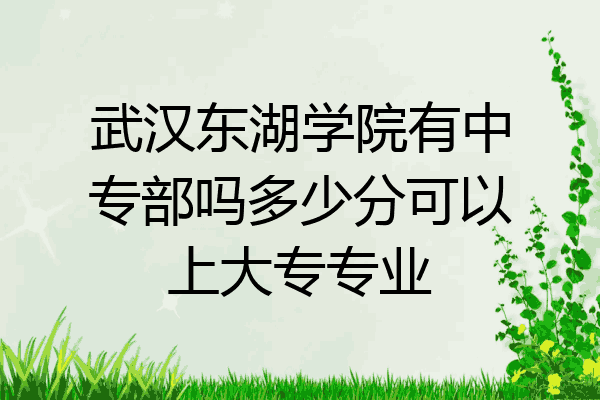 武汉东湖学院有中专部吗多少分可以上大专专业